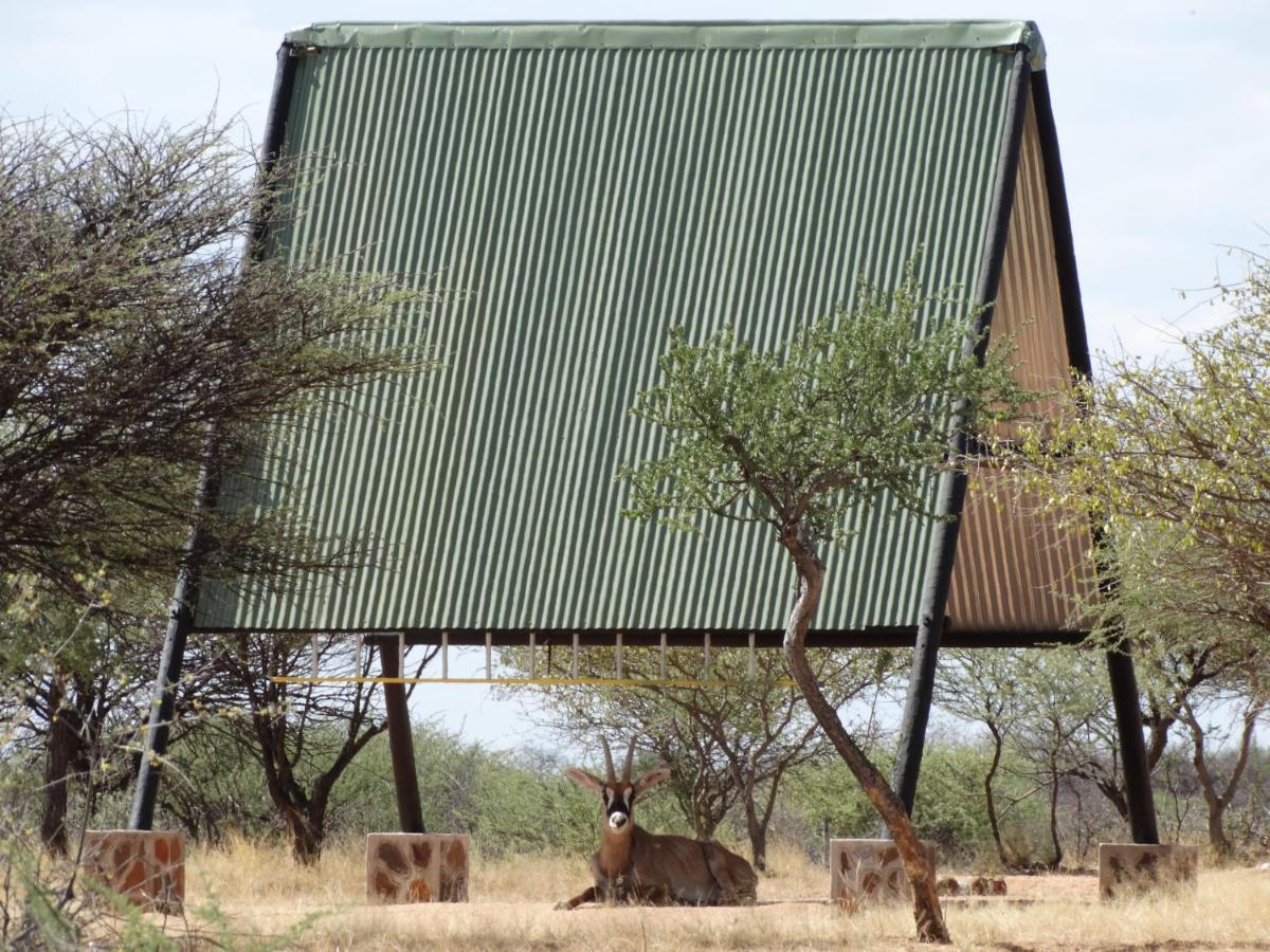 Ovita Wildlife Restcamp Okazize المظهر الخارجي الصورة